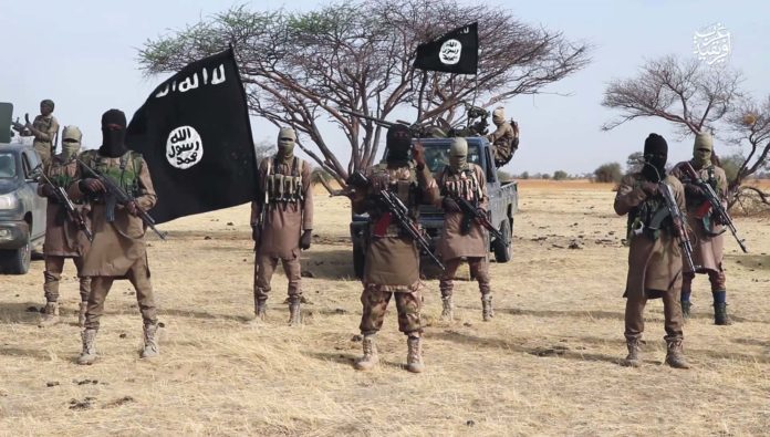 How Boko Haram Bombed Two Transmission Line in Borno, TCN
