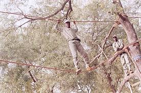 NYSC Reacts To Abduction of 8 Prospective Corps Members